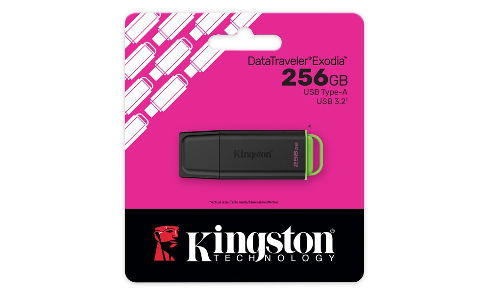 Kingston 256GB DataTraveler Exodia USB Flash Drive DTXG2/256GB