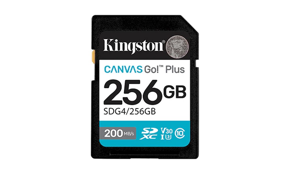 Kingston Canvas Go Plus 256GB microSD Card | Up to 200MB/s | Class 10, UHS-I, U3, V30, A2 | SDCG4/256GB